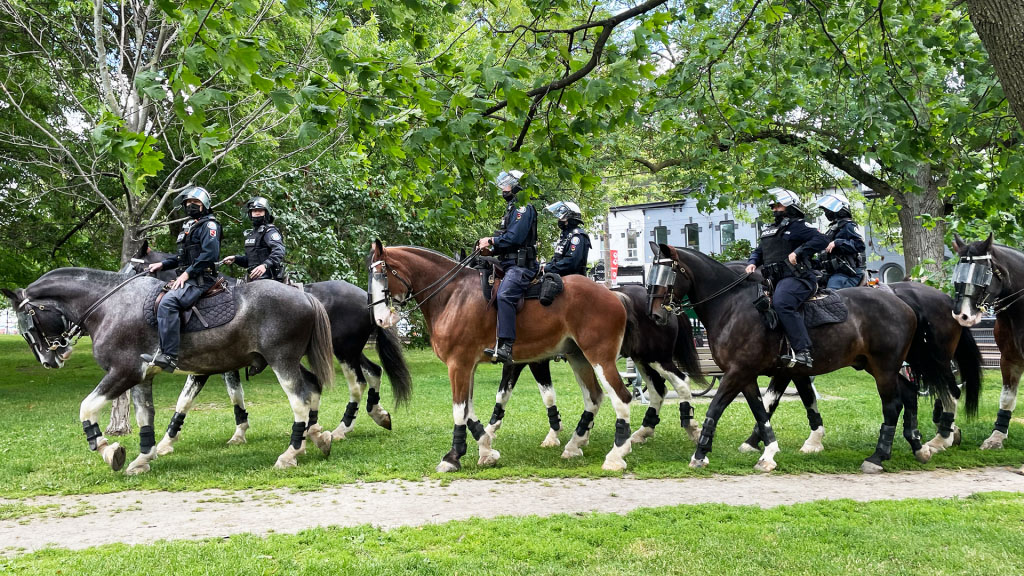 Toronto Mounted Police Demo